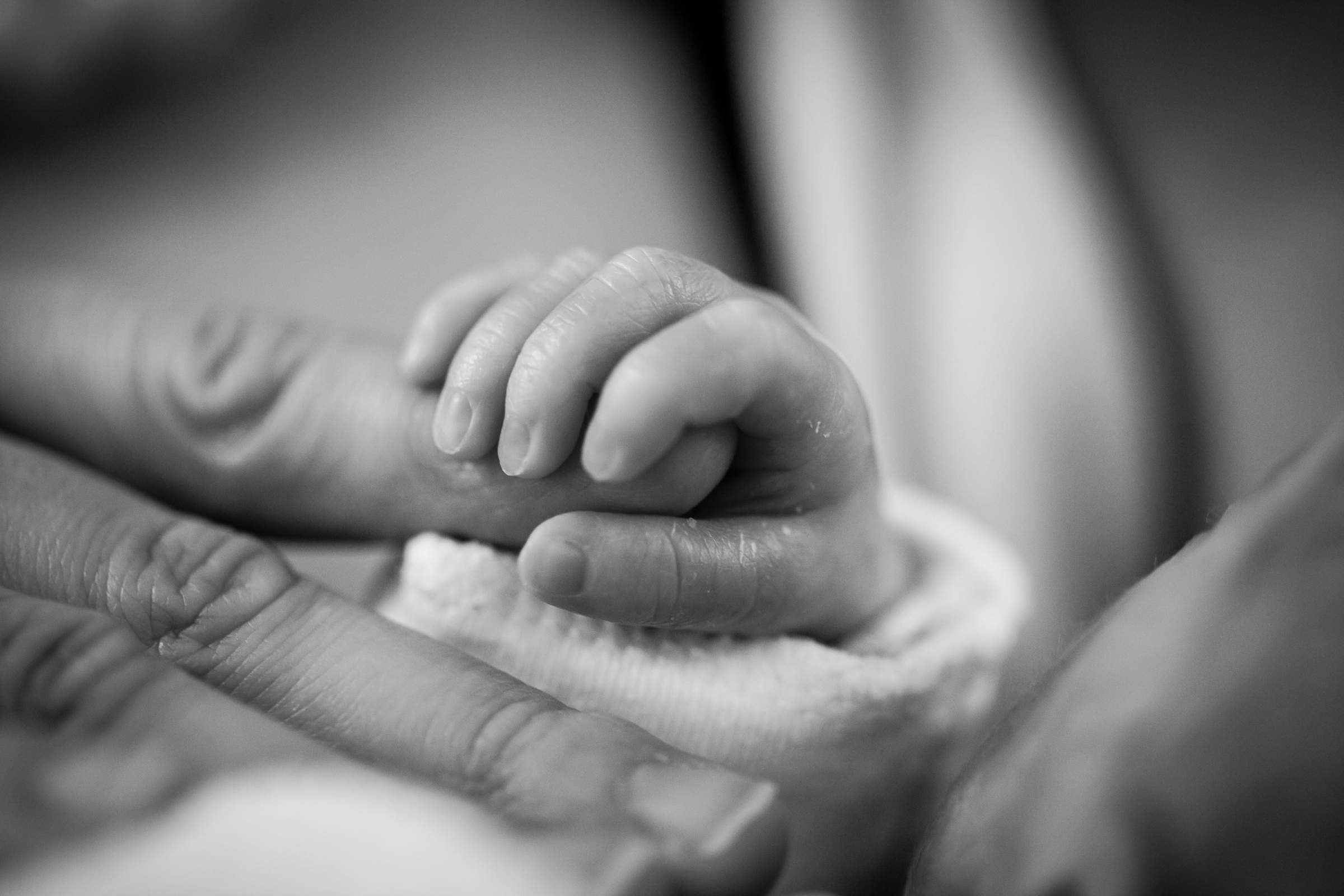 Infant holding adult's finger